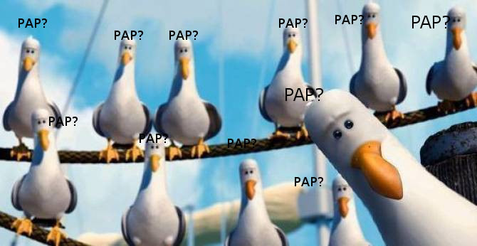 pap1.jpg